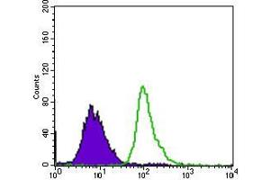 Flow cytometric analysis of HepG2 cells using TP53BP1 mouse mAb (green) and negative control (purple). (TP53BP1 antibody  (AA 574-773))