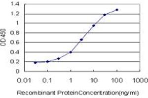 Detection limit for recombinant GST tagged PGM2 is approximately 0. (Phosphoglucomutase 2 antibody  (AA 1-90))