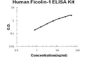 Human Ficolin-1 PicoKine ELISA Kit standard curve (FCN1 ELISA Kit)