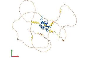 Protein Structure (PS) image for Forkhead Box A2 (FOXA2) (AA 1-459) protein (His tag) (ABIN7563180)
