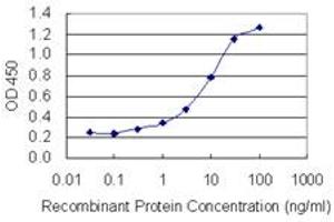Detection limit for recombinant GST tagged ARFGEF1 is 0. (ARFGEF1 antibody  (AA 311-411))