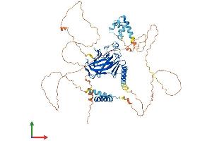 Protein Structure (PS) image for Tumor Protein P73 (TP73) (AA 1-631) protein (His tag) (ABIN7561597)