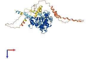AlphaFold protein structure predicition of Mouse Recombinant Micu3 Protein, UniprotID Q9CTY5 (EFHA2 Protein (AA 1-523) (His tag))