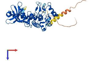 AlphaFold protein structure predicition of Mouse Recombinant Sbk2 Protein, UniprotID P0C5K1 (Sbk2 Protein (AA 1-362) (His tag))