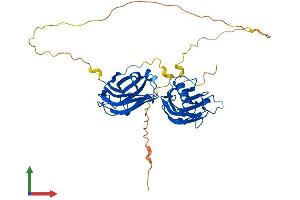AlphaFold protein structure predicition of Mouse Recombinant Doc2b Protein, UniprotID P70169 (DOC2B Protein (AA 1-412) (His tag))