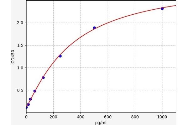 CACYBP ELISA Kit