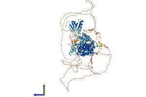 Protein Structure (PS) image for Pleckstrin Homology Domain Containing, Family M (With RUN Domain) Member 2 (PLEKHM2) (AA 1-1019) protein (His tag) (ABIN7554956)