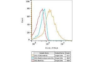 Flow cytometry: HEL cells were stained with Rabbit IgG isotype control (, 2. (Integrin beta 3 antibody)