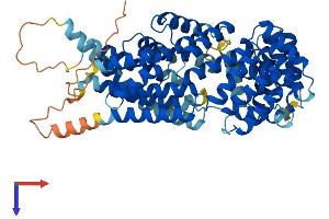 AlphaFold protein structure predicition of Mouse Recombinant Ttc39c Protein, UniprotID Q8VE09 (TTC39C Protein (AA 1-580) (His tag))