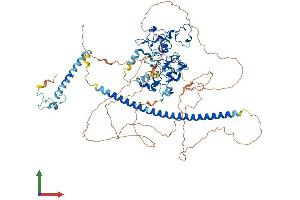 AlphaFold protein structure predicition of Human Recombinant UNK Protein, UniprotID Q9C0B0 (UNK Protein (AA 1-810) (His tag))