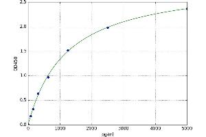 Chemokine (C Motif) Receptor 1 (XCR1) ELISA Kit