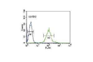 IRF8 Antibody (C-term) (ABIN389336 and ABIN2839448) flow cytometric analysis of HL-60 cells (right histogram) compared to a negative control cell (left histogram). (IRF8 antibody  (C-Term))