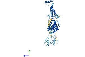 Protein Structure (PS) image for Splicing Factor 3a, Subunit 3, 60kDa (SF3A3) (AA 1-501) protein (His tag) (ABIN7545974)