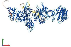 AlphaFold protein structure predicition of Human Recombinant JAK2 Protein, UniprotID O60674 (JAK2 Protein (AA 1-1132) (His tag))