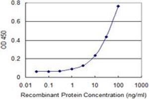 Detection limit for recombinant GST tagged CCNA1 is 0. (Cyclin A1 antibody  (AA 1-464))