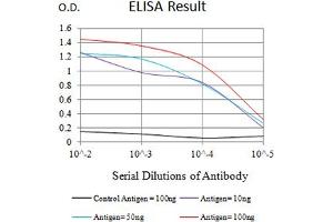 Black line: Control Antigen (100 ng),Purple line: Antigen (10 ng), Blue line: Antigen (50 ng), Red line:Antigen (100 ng) (CD57 antibody  (AA 35-191))