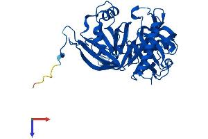 Protein Structure (PS) image for L-3-Hydroxyproline Dehydratase (Trans-) (L3HYPDH) (AA 1-354) protein (His tag) (ABIN7544089)
