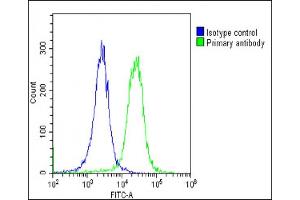 Overlay histogram showing HeLa cells stained with (ABIN6243826 and ABIN6578813)(green line). (PSMD3 antibody  (AA 482-515))