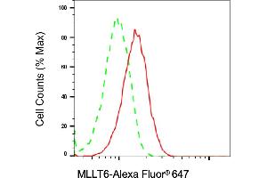 anti-Myeloid/lymphoid Or Mixed-lineage Leukemia, Translocated To, 6 (MLLT6) antibody