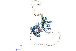 Protein Structure (PS) image for Otopetrin 1 (OTOP1) (AA 1-612) protein (His tag) (ABIN7550434)