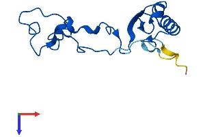 AlphaFold protein structure predicition of Mouse Recombinant Rpl32-ps Protein, UniprotID P17932 (RPL32-PS Protein (AA 1-135) (His tag))