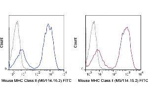 C57Bl/6 splenocytes were stained with 0. (MHC II (I-A/I-E) antibody  (FITC))