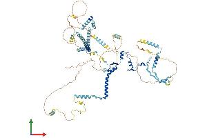 AlphaFold protein structure predicition of Human Recombinant UTP14C Protein, UniprotID Q5TAP6 (UTP14C Protein (AA 1-766) (His tag))