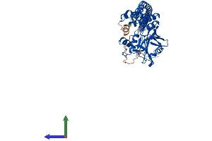 Protein Structure (PS) image for STAM Binding Protein-Like 1 (STAMBPL1) (AA 1-436) protein (His tag) (ABIN7544034)
