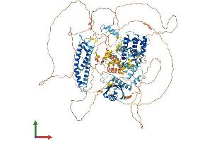AlphaFold protein structure predicition of Human Recombinant BAG6 Protein, UniprotID P46379 (BAT3 Protein (AA 1-1132) (His tag))