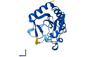AlphaFold protein structure predicition of Mouse Recombinant Fhit Protein, UniprotID O89106 (FHIT Protein (AA 1-150) (His tag))