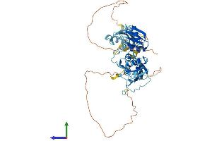 AlphaFold protein structure predicition of Human Recombinant PTBP2 Protein, UniprotID Q9UKA9