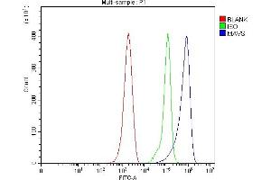 Flow Cytometry analysis of ANA-1 cells using anti-Mavs antibody (ABIN7599544). (MAVS antibody  (AA 1-77))