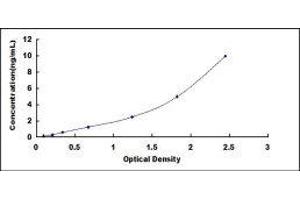 Typical standard curve