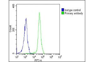 Overlay histogram showing Jurkat cells stained with (ABIN6242448 and ABIN6578653)(green line). (RPS27 antibody  (AA 5-37))