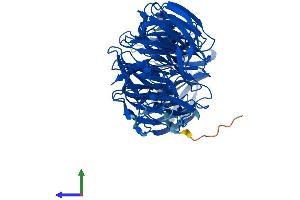 Protein Structure (PS) image for Echinoderm Microtubule Associated Protein Like 2 (EML2) (AA 1-649) protein (His tag) (ABIN7547349)