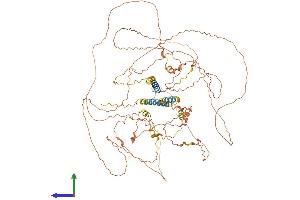 AlphaFold protein structure predicition of Mouse Recombinant Perm1 Protein, UniprotID Q149B8 (C1ORF170 Protein (AA 1-807) (His tag))