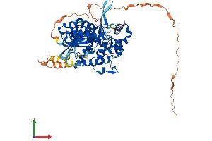 AlphaFold protein structure predicition of Human Recombinant DNAAF3 Protein, UniprotID Q8N9W5 (DNAAF3 Protein (AA 1-541) (His tag))