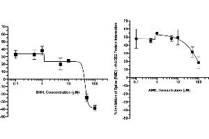 Effect of Bromhexine Hydrochloride (BHH) and Ambroxol Hydrochloride (AMB) on the interaction of rhACE2 with SARS-CoV-2 Spike (RBD) protein Interaction: A. (COVID-19 Spike-ACE2 Binding Assay Kit)