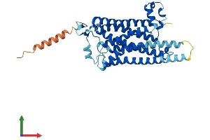 AlphaFold protein structure predicition of Mouse Recombinant Taar7e Protein, UniprotID Q5QD09 (TAAR7E Protein (AA 1-358) (His tag))