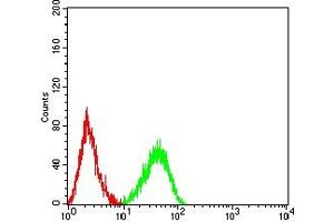 Flow cytometric analysis of HL-60 cells using CD339 mouse mAb (green) and negative control (red). (JAG1 antibody  (AA 47-212))