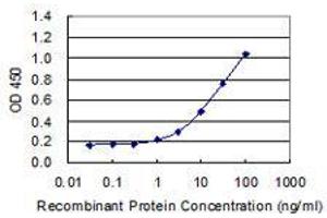 Detection limit for recombinant GST tagged MAMLD1 is 0. (MAMLD1 antibody  (AA 603-701))