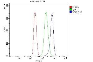 Flow Cytometry analysis of MCF-7 cells using anti-DDX1 antibody (ABIN7602052). (DDX1 antibody  (AA 562-740))