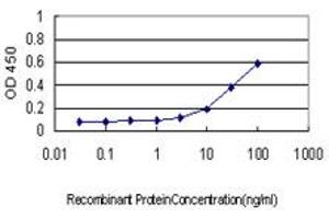 Detection limit for recombinant GST tagged TPP1 is approximately 0. (TPP1 antibody  (AA 195-304))