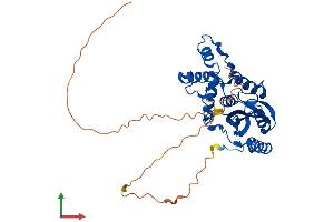 AlphaFold protein structure predicition of Human Recombinant VASH2 Protein, UniprotID Q86V25 (Vasohibin 2 Protein (VASH2) (AA 1-355) (His tag))