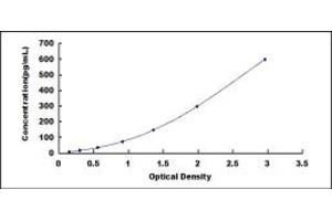 Typical standard curve (CALB1 ELISA Kit)