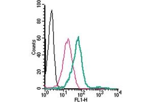Cell surface detection GPR120/FFAR4 in live intact human  monocytic leukemia cells:Cells.