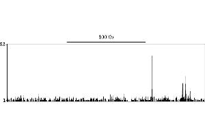 ChIP DNA-Sequencing (ChIP-seq) image for anti-Sp1 Transcription Factor (SP1) (C-Term) antibody (ABIN7458075) (SP1 antibody  (C-Term))
