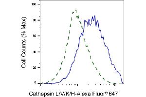 Validation of Cathepsin L/V/K/H knockdown using flow cytometry. (Recombinant Cathepsin LVKH antibody)