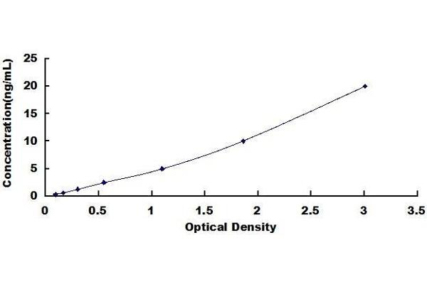 ABCA4 ELISA Kit