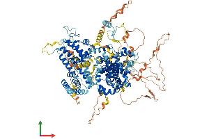 AlphaFold protein structure predicition of Human Recombinant RBL1 Protein, UniprotID P28749